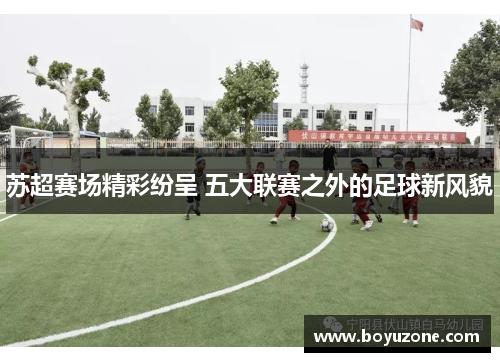 苏超赛场精彩纷呈 五大联赛之外的足球新风貌